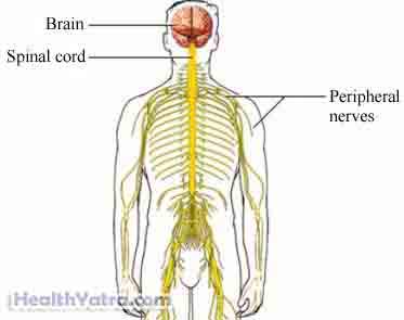 Rabies Treatment in India, Causes, Symptoms and Top Hospital Rabies